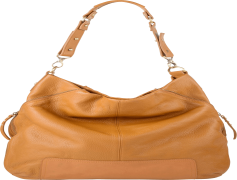 Women Bag PNG File