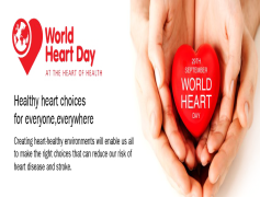 World Health Day, Healthy Living, Health Education, Public Health, Community Wellbeing PNG