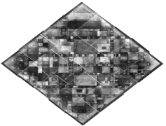 X-Ray, Diagnostic, Imaging, Health, Screening PNG