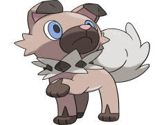 Yungoos Pokemon, Alolan Region, Normal Type, Burrowing Predator, Quick Attack PNG