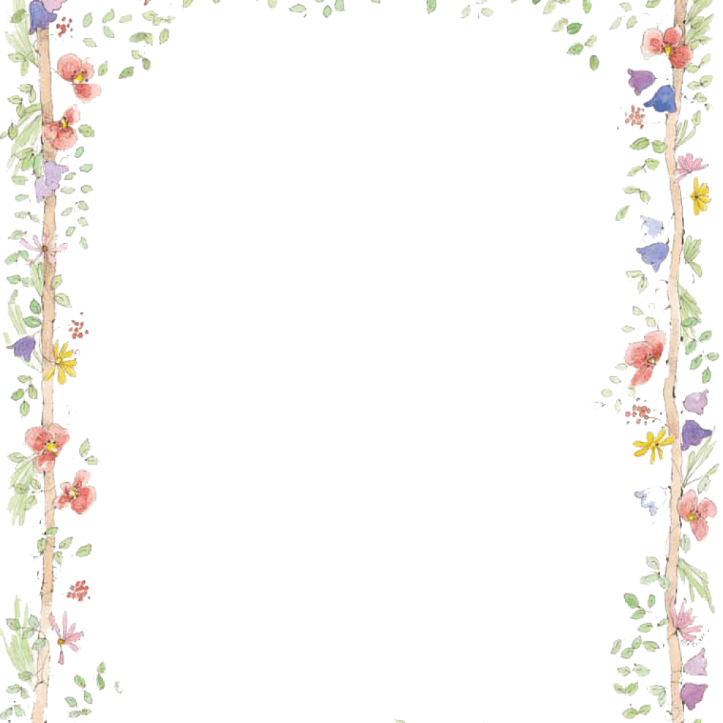 Spring Border, Colorful Edging, Floral Frame, Nature Decor, Vibrant Borders PNG
